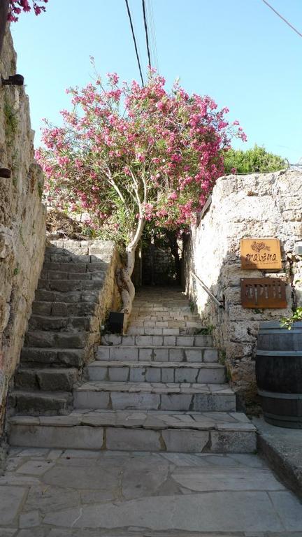 Byblos Fishing Club Guesthouse Exterior photo